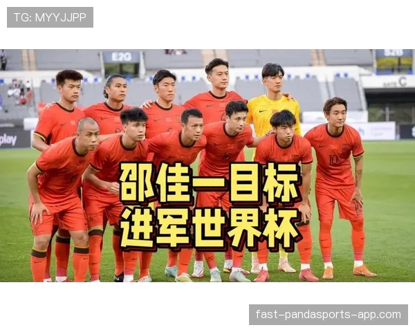 传统强队世界杯参赛阵容藏着哪些惊喜